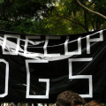 OccupyDGSI - 20150621